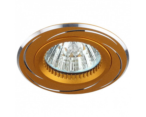 Встраиваемый светильник Эра KL34 GS-M361G