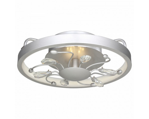 Накладной светильник Favourite Waltz 2523-2C