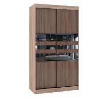 Шкаф-купе Риф-2 Зеркало вариант 6