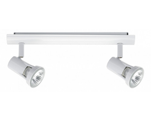 Спот Paulmann Teja 66311