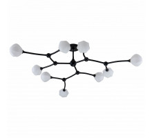 Потолочная люстра Favourite Suri 2688-9P