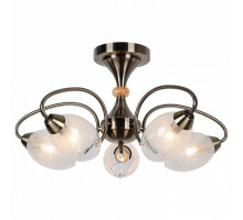 Люстра на штанге Lussole Anaheim 