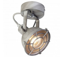 Спот Favourite Lichtwerfer 1894-1W