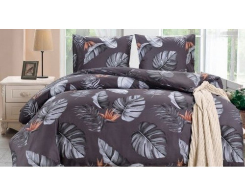 Постельное белье евростандарт CL-333