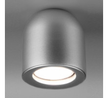 Накладной светильник Elektrostandard DLN116 a050674