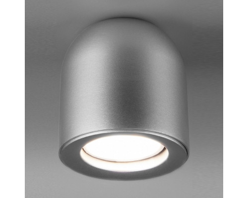 Накладной светильник Elektrostandard DLN116 a050674