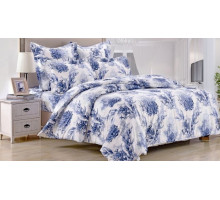 Постельное белье евростандарт C-226