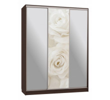 Шкаф-купе Бассо 9-600 розы