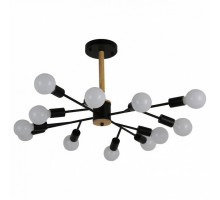 Люстра на штанге F-promo Liber 2585-12P