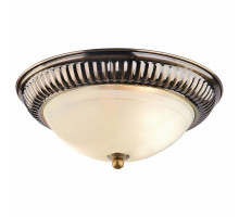 Накладной светильник Arte Lamp Alta A3016PL-2AB