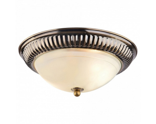 Накладной светильник Arte Lamp Alta A3016PL-2AB