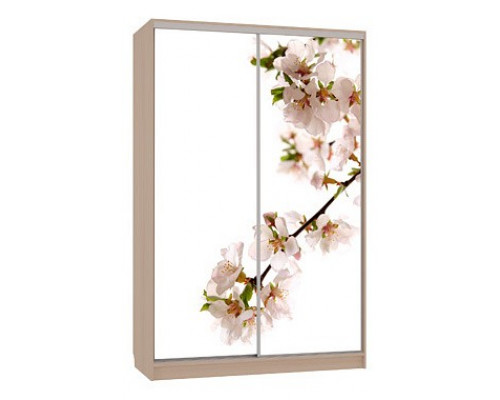 Шкаф-купе Гранд 7-600 яблоня