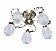 Потолочная люстра SilverLight Brazil 506.53.5