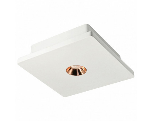 Накладной светильник Loft it Architect OL1072-WG/1