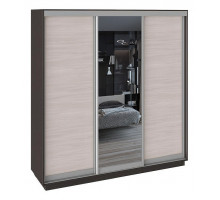 Шкаф-купе Румер СШК 1.210.70-11.13.11