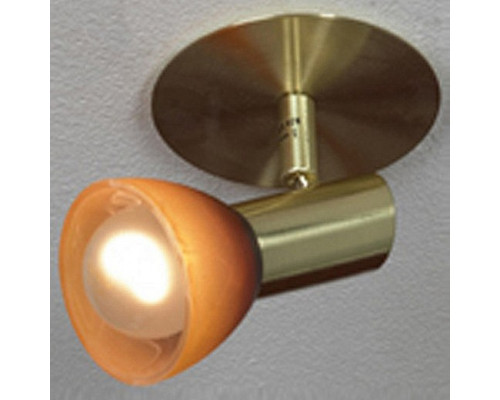 Спот Lussole Leggero