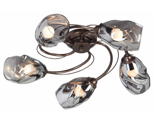Потолочная люстра Vitaluce  V4937-7/5PL