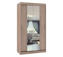Шкаф-купе Риф-2 Зеркало вариант 4