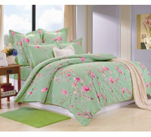 Постельное белье евростандарт C-219