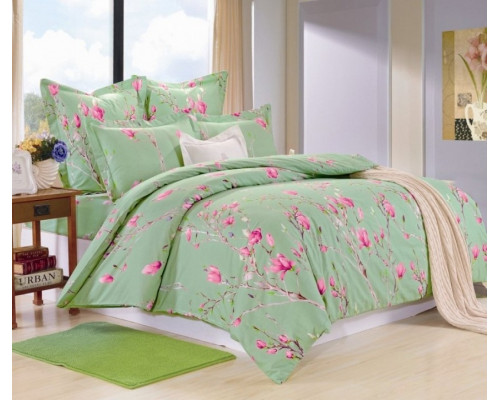 Постельное белье евростандарт C-219