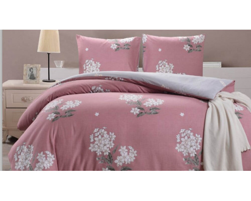 Постельное белье евростандарт CL-318