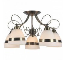 Потолочная люстра Arte Lamp Noemi A6192PL-5AB