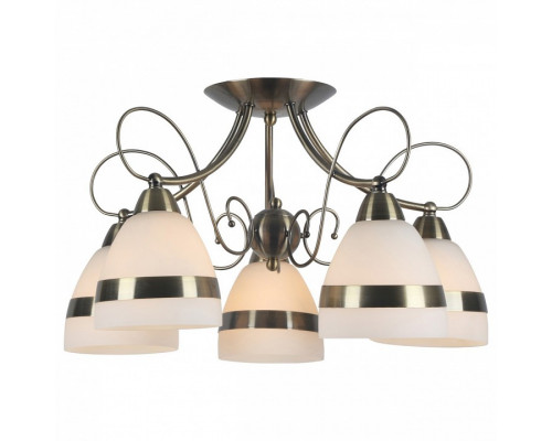 Потолочная люстра Arte Lamp Noemi A6192PL-5AB