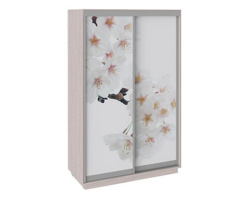 Шкаф-купе Румер СШК 1.140.70-25