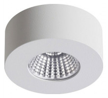 Накладной светильник Odeon Light Bene 4282/7СL