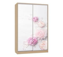 Шкаф-купе Гранд 7-600 17