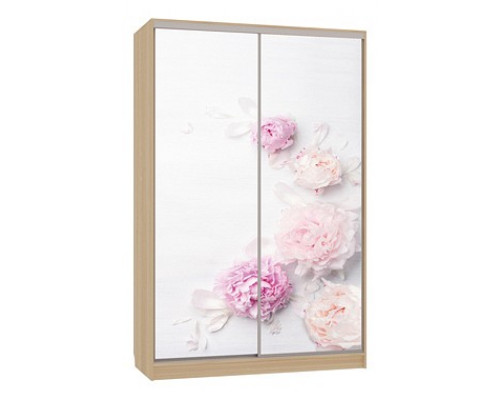 Шкаф-купе Гранд 7-600 17