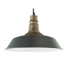 Подвесной светильник Lumion Stig 3677/1