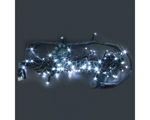Гирлянды Нить [10 м] RL-S10CF-24V-B/W