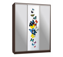 Шкаф-купе Бассо 9-600 88