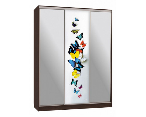 Шкаф-купе Бассо 9-600 88