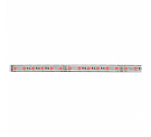 Лента светодиодная Paulmann MaxLED 70658