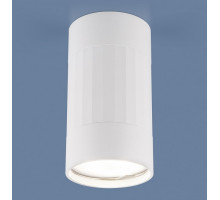 Накладной светильник Elektrostandard DLN111 a047754