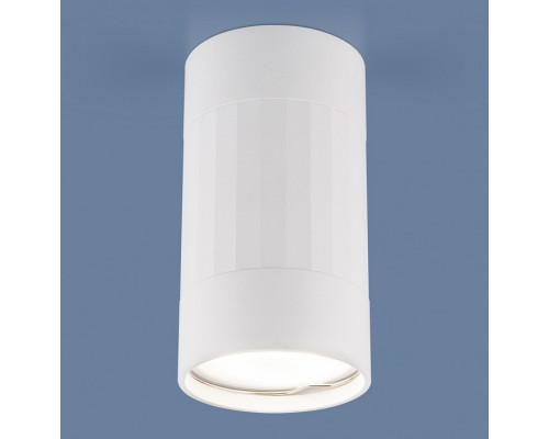 Накладной светильник Elektrostandard DLN111 a047754