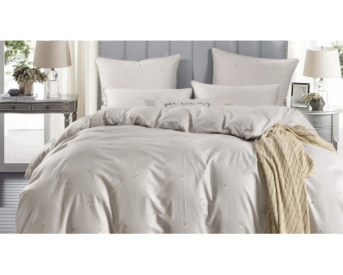 Постельное белье евростандарт Кира