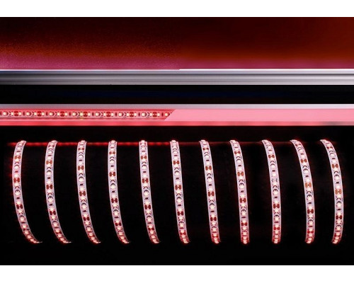 Лента светодиодная [5 м] Deko-Light  840231