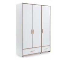 Шкаф платяной Dynamic 20.50.1002.00