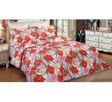 Постельное белье двуспальное BZ Francheska