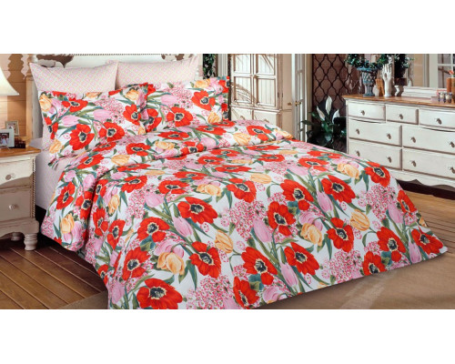 Постельное белье двуспальное BZ Francheska