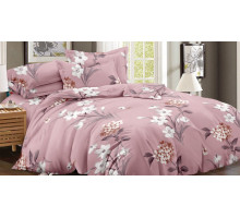 Постельное белье семейное Art Color 052-AC