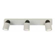 Спот Citilux Норман 