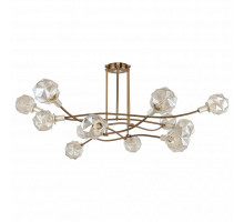 Потолочная люстра Favourite Liberty 2669-12P