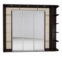 Шкаф-купе Мебелайн-24