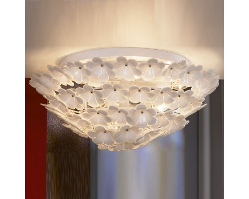 Накладной светильник Lussole Asinara