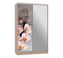 Шкаф-купе Гранд 9-600 78