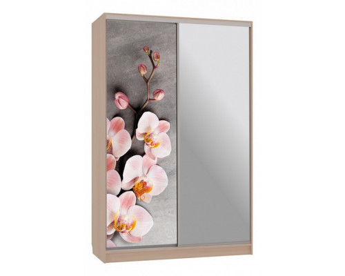 Шкаф-купе Гранд 9-600 78